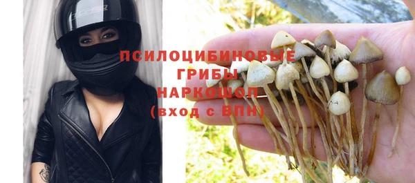 первитин Богданович