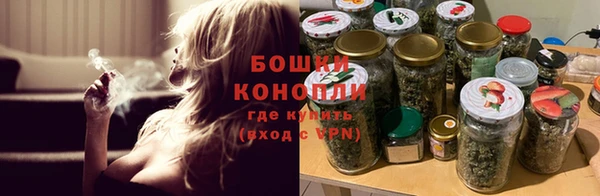 гидра Богородск