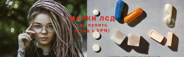гидра Богородск