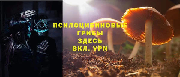 дурь Богородицк