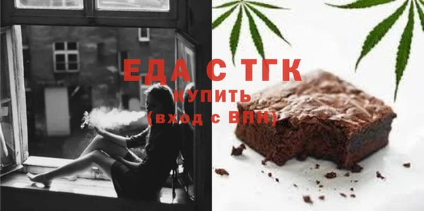 гидра Богородск