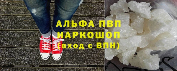 первитин Богданович