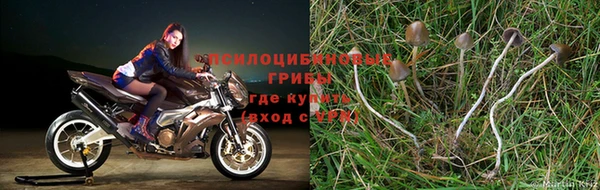 гидра Богородск