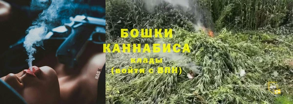 первитин Богданович