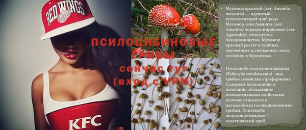 дурь Богородицк