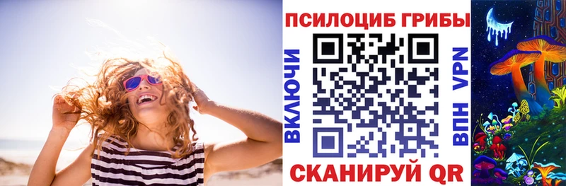 Галлюциногенные грибы MAGIC MUSHROOMS  Купить  Козьмодемьянск 